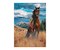 Wildpferd in Freiheit 1000 Teile