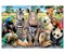 Zootiere 