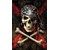 Pirate Skull 