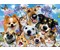 Hunde und Katzen Selfie 