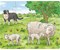 Puzzles Bauernhoftierkinder