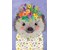 Funny Hedgehog