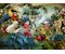 Birdiversity 