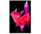 Creatto Katze / Kitty Cat, d 3D Bauset 4 in 1, 40 LED-Lichter