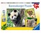Panda, Tiger und Löwe