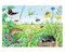 Wieso? Weshalb? Warum? Tiere im Wald und auf der Wiese