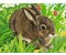 Tiere