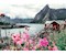 Reine, Lofoten, Norwegen