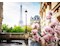 Frühling in Paris