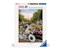 Fahrrad und Blumen in Amsterdam
