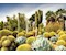 The Huntington Desert Garden, California, USA