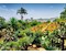 Botanischer Garten, Madeira