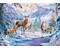 Rehe und Hirsche im Winter