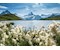 Bachalpsee Grindelwald