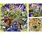 Ninja Turtles