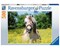 Pferd im Rapsfeld