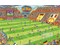 Finale im Fussballstadion