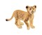 Wild Life in der Sarvanne 60 Teile (inkl. Figur)