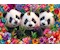 Panda Trio 200 Teile