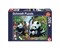 Pandafamilie am Wasserfall