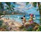 Disney Mickey & Minnie in Hawaii