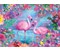 Flamingos