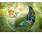 Ying & Yang, Im Wald der Kolibris 1000 Teile