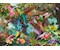 Farbenspiel der Kolibris 