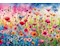 Mohnblumenwiese 1000 Teile