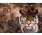Steampunk Tiger