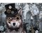 Steampunk Wolf