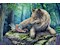 Wolf und Elfe