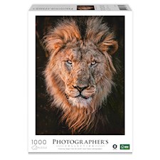 Löwenkopf (Donal Boyd)