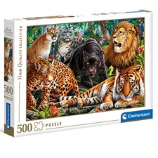 Wild Cats