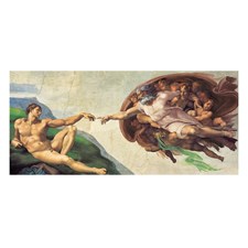 Michelangelo: La Creazione dell' uomo