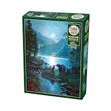 Bären im Mondschein