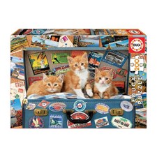 Katzen im Reisekoffer