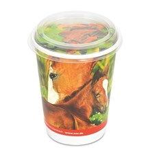 Cup - Pferde / Lilly das Fohlen