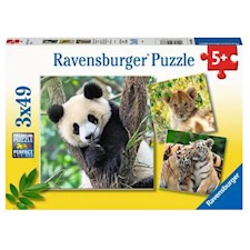 Panda, Tiger und Löwe