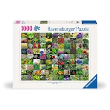 99 Kräuter und Gewürze