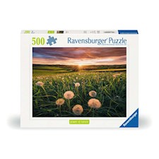 Pusteblumen im Sonnenuntergang
