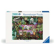 Lieblingssachen einer Hexe