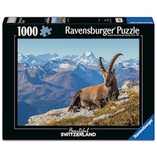 Steinbock im Toggenburg