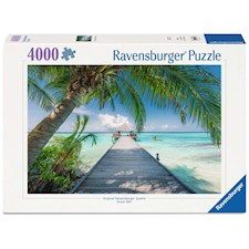 Dream Beach on the Maledives   4000p