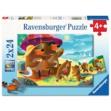 Bear Family Vacations   2x24p