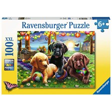 Hunde Picknick