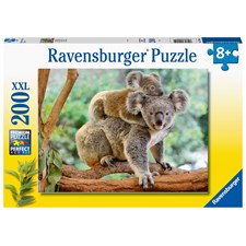 Koalafamilie