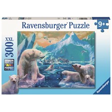 Im Reich der Eisbären    