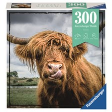 Highland Cattle