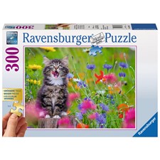 Katze im Blumenmeer